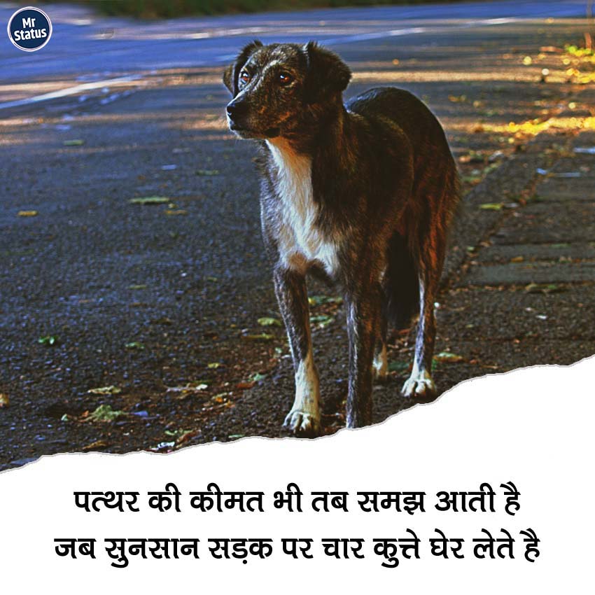 Download free status image